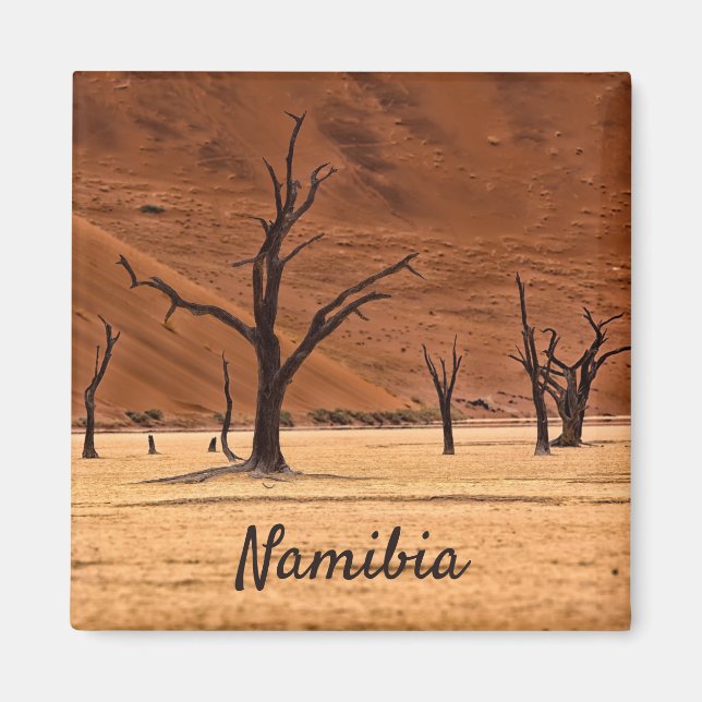 Död Vlei Namibia liggande foto med text Magnet (Framsidan)