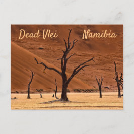 Död Vlei Namibia liggande foto med text Vykort