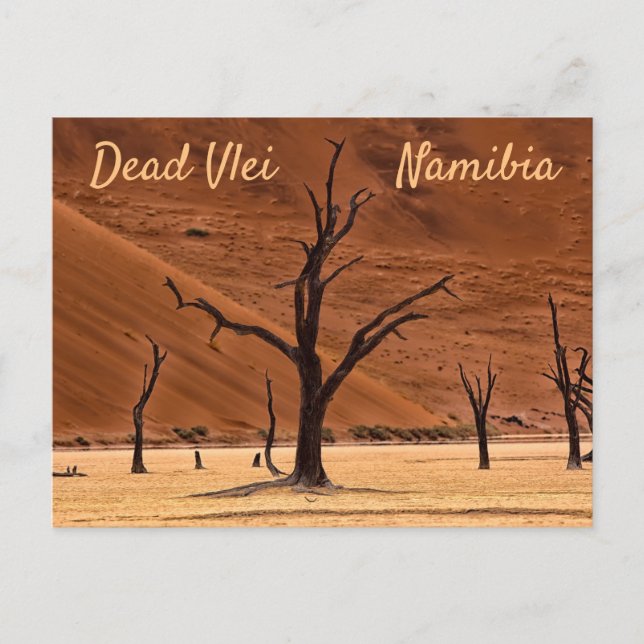 Död Vlei Namibia liggande foto med text Vykort (Framsida)