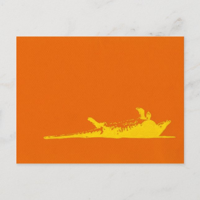 DÖDA ARMADILLO VYKORT (Framsida)