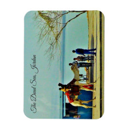 Döda havet, Jordanien Magnet