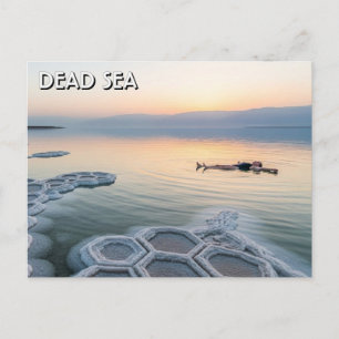 Döda havet Jordanien Resa Vykort