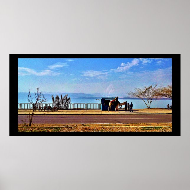 Döda havet poster (Framsidan)