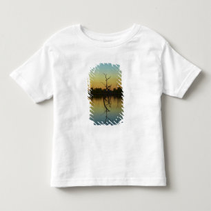 Döda träd speglas i Lily Creek Lagoon, gryning T Shirt