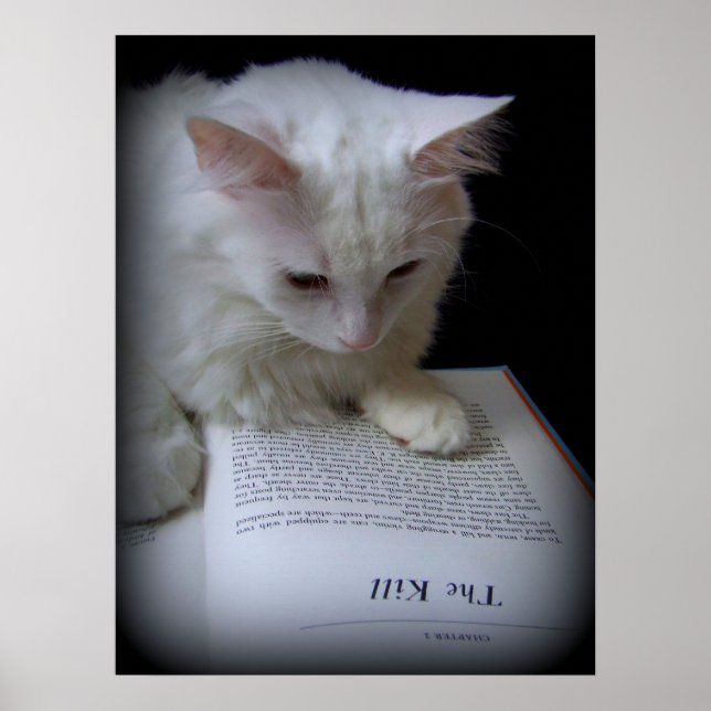 Dödan Poster (Framsidan)