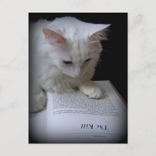 Dödan Vykort (Framsida)