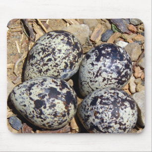DödaÖr Nest med ägg Musmatta