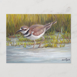 Dödare på Hostetter Farm Bird Art Postcard Vykort