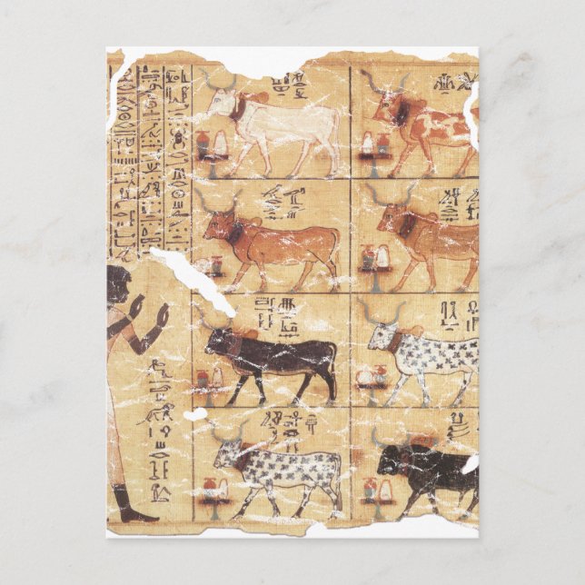 Dödboken-Maiherperi-1479f.Kr. Vykort (Framsida)