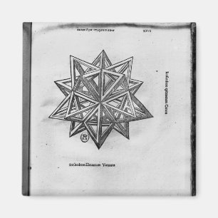 Dodecahedron från 'De Divina Proportione' Magnet