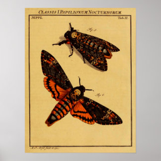 Dödens huvud Moth Poster