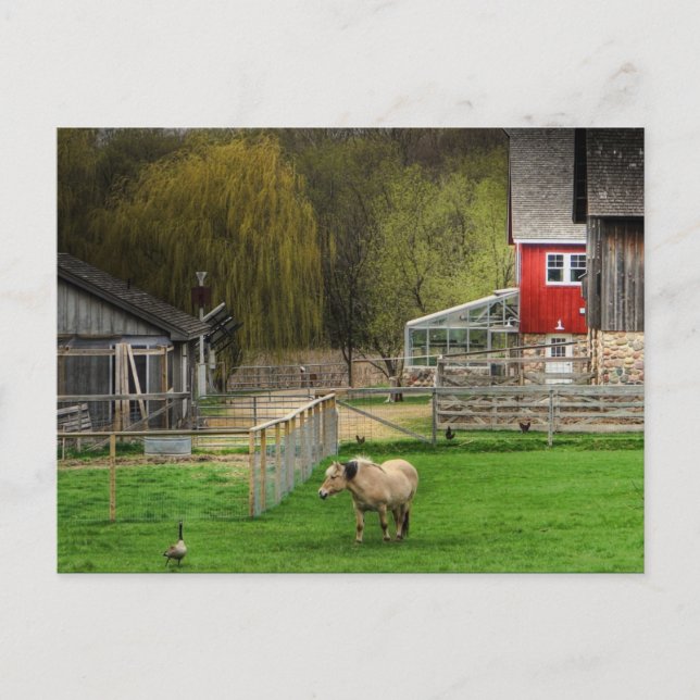 Dodge Nature Center Vykort (Framsida)