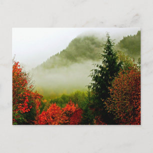 Dodge Road Mist (briljant) Vykort