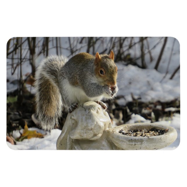 Dödlig födointag på kanin magnet (Horisontell)