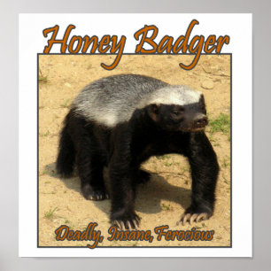 Dödligt sinnessjukt vilt honey badgertryck poster