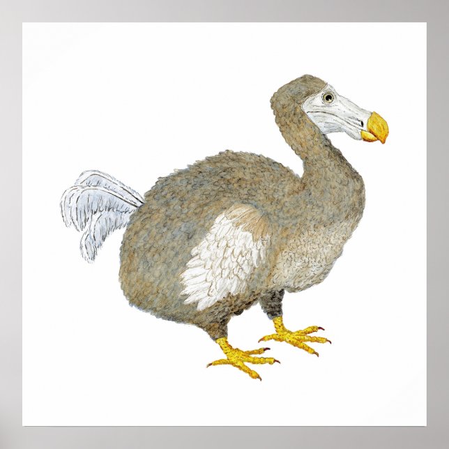 Dodo Bird Art Poster (Framsidan)
