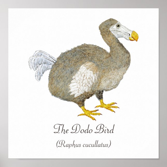 Dodo Bird Art Poster (Framsidan)