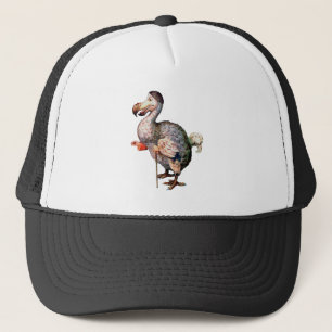 Dodo Bird Keps