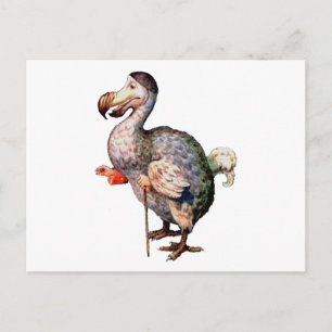 Dodo Bird Vykort