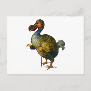 Dodo Bird Vykort