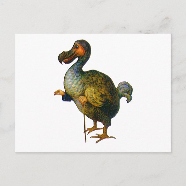 Dodo Bird Vykort (Framsida)