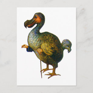 Dodo Bird Vykort