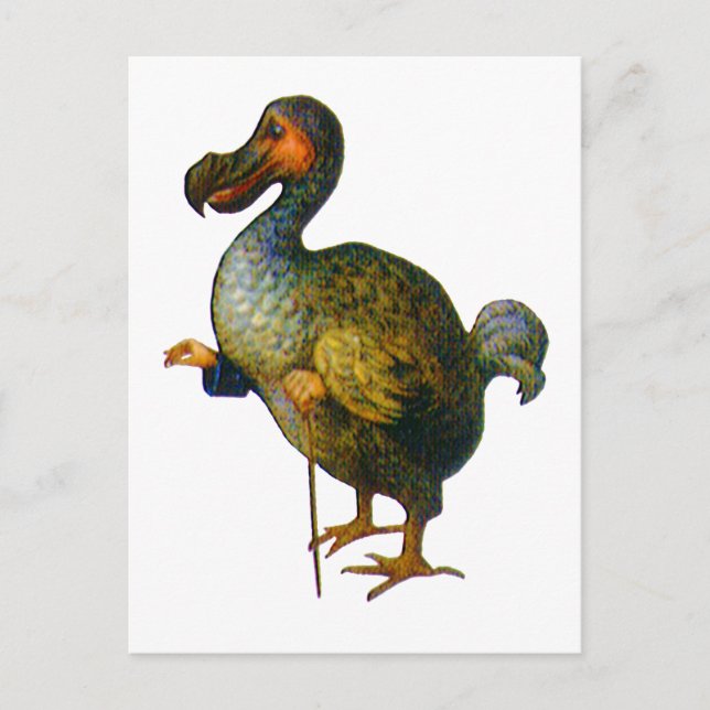 Dodo Bird Vykort (Framsida)