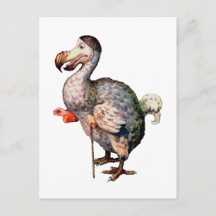 Dodo Bird Vykort