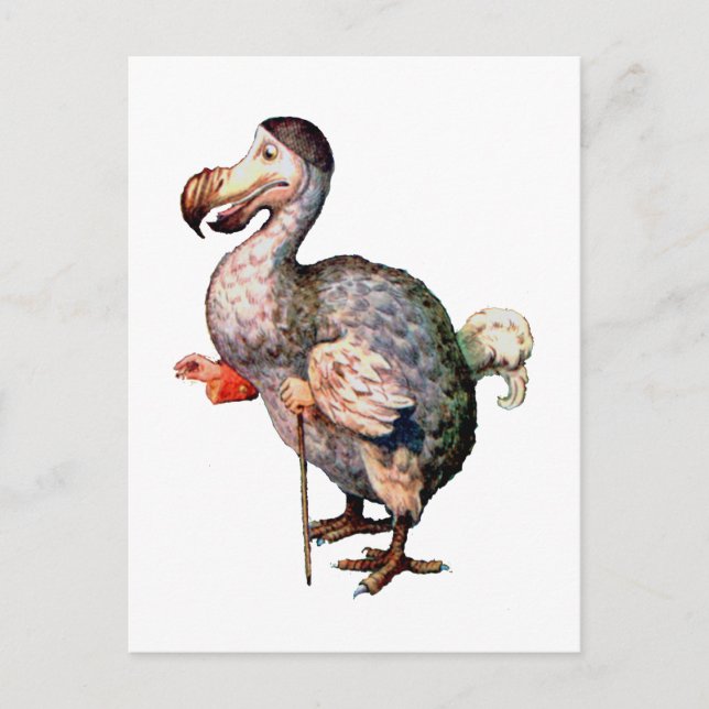 Dodo Bird Vykort (Framsida)