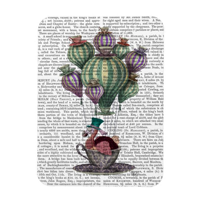 Dodo i Tekopp Magnet (Vertikal)