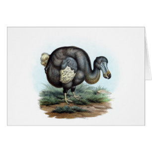 Dodo (Raphuscucullatus) Hälsningskort