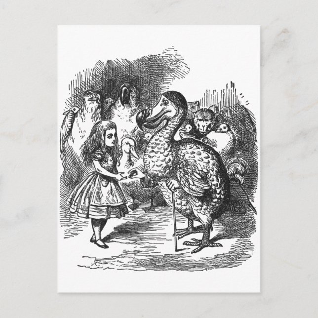 Dodo Vykort (Framsida)