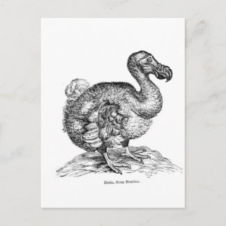 Dodo Vykort