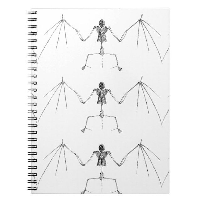 Dödsanteckning Anteckningsbok (Framsidan)