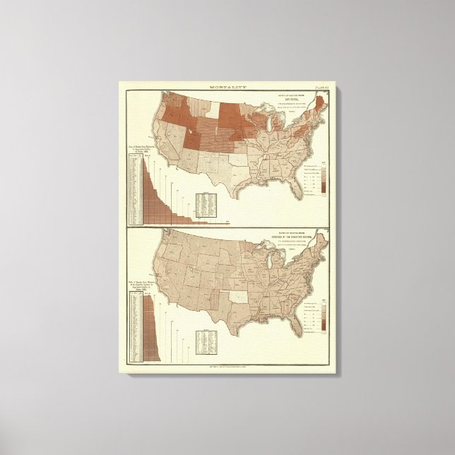 Dödsfall, difteri, matsmältningssystem canvastryck (Framsida)