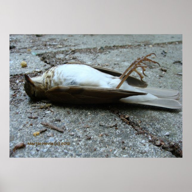 Dödsfall Poster (Framsidan)