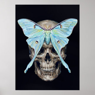 Dödskalle och halvmåneformad svärmare — Memento Mo Poster