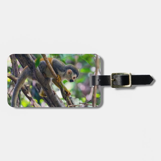 Dödskalleapa i Manuel Antonio NP - Costa Rica Bagagebricka (Horisontell Framsida)