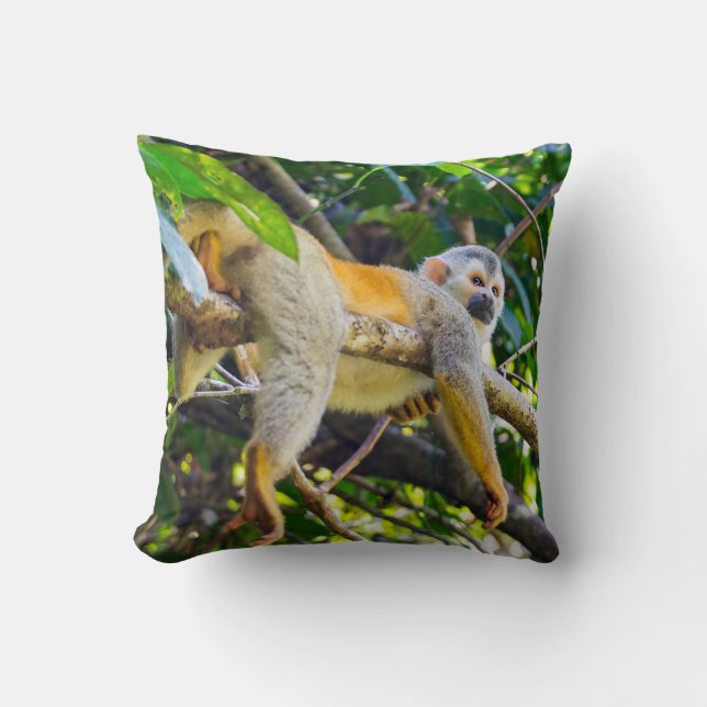 Dödskalleapa i Manuel Antonio NP - Costa Rica Kudde (Framsida)