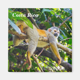 Dödskalleapa i Manuel Antonio NP - Costa Rica Magnet