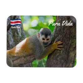 Dödskalleapa i Manuel Antonio NP - Costa Rica Magnet