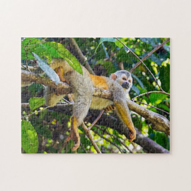 Dödskalleapa i Manuel Antonio NP - Costa Rica Pussel (Horisontell)