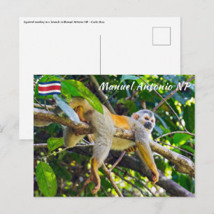 Dödskalleapa i Manuel Antonio NP - Costa Rica Vykort
