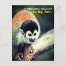 Dödskalleapan i träd