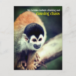 Dödskalleapan i träd vykort