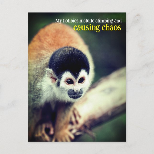 Dödskalleapan i träd vykort (Framsida)