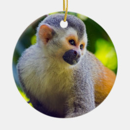 Dödskalleapan på en gren-Costa Rica Julgransprydnad Keramik
