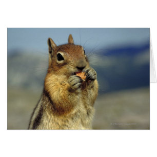 Dödskalleätande Hälsningskort