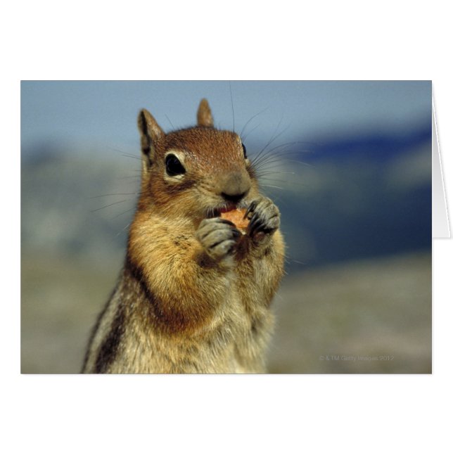 Dödskalleätande Hälsningskort (Framsidan Horizontal)