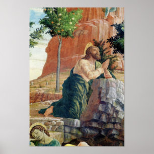 Dödskampen i trädgården poster